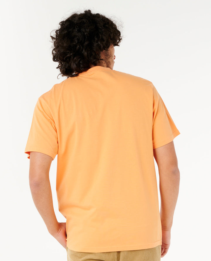 Rip Curl Men Aots - Cody Welsh Palms Tee 0PAMTE