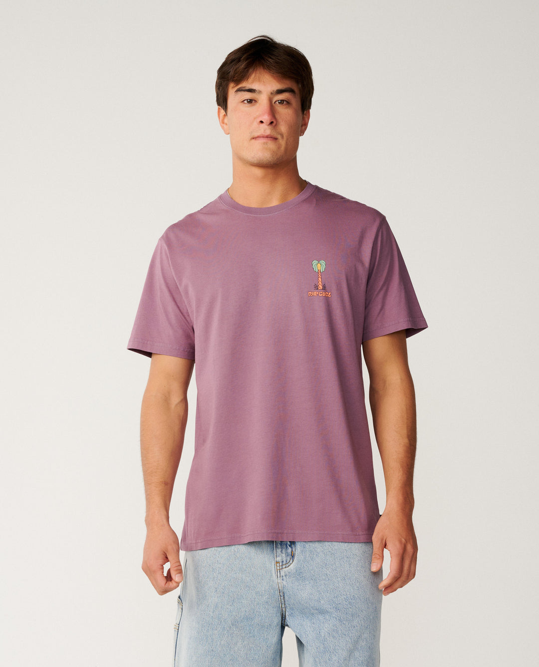 Rip Curl Men Pacific Rinse Higgins Tee 16OMTE