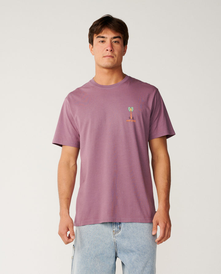 Rip Curl Men Pacific Rinse Higgins Tee 16OMTE